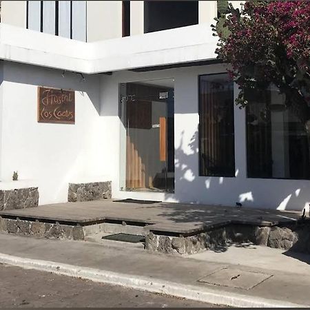 Cactus Hostel Puerto Baquerizo Moreno Ngoại thất bức ảnh