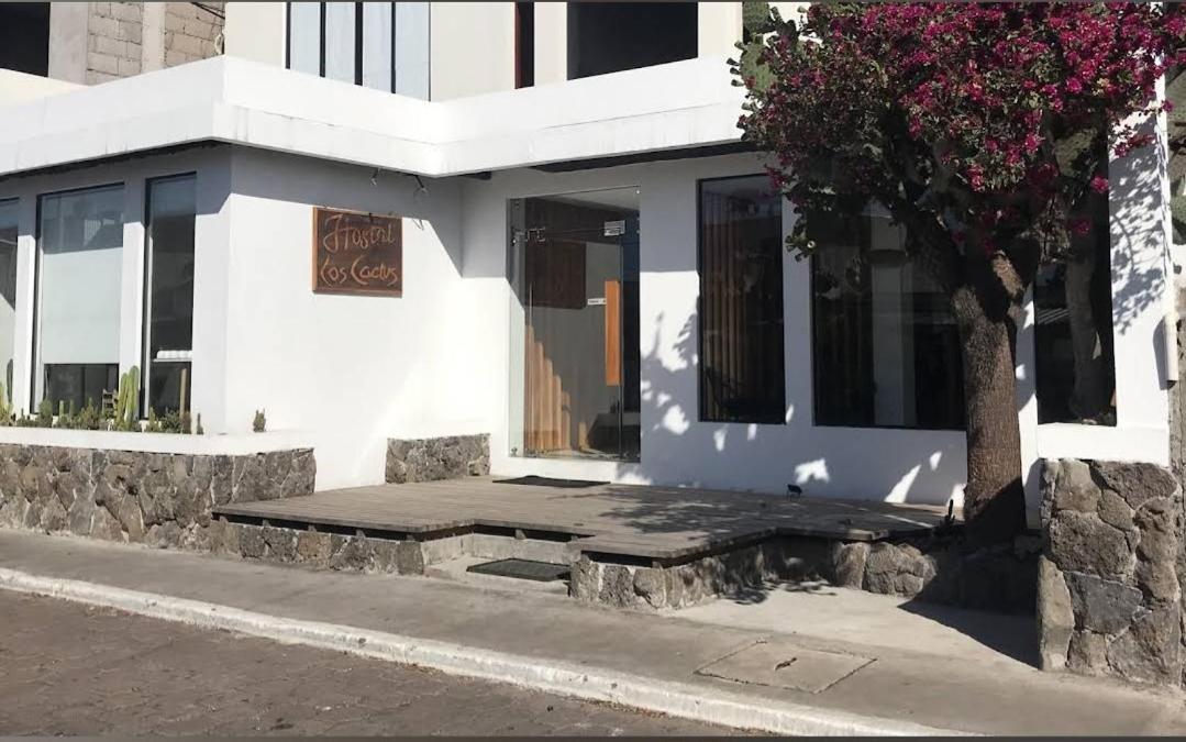 Cactus Hostel Puerto Baquerizo Moreno Ngoại thất bức ảnh